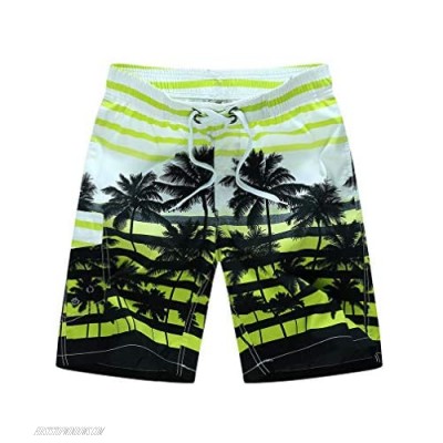 Lavnis Men's Board Shorts Summer Beachwear Quick Dry Swim Trunks Casual Drawstring Waist Shorts